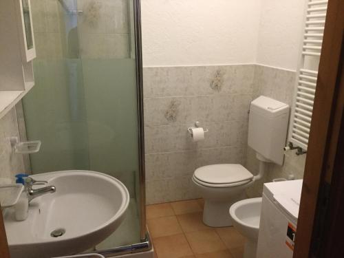 ein Bad mit einer Dusche, einem WC und einem Waschbecken in der Unterkunft Casa Dolonne - A un passo dallo sci in Courmayeur