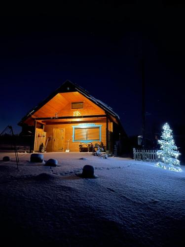 a lit christmas tree in front of a barn at Sielska Chyża in Rzepedż