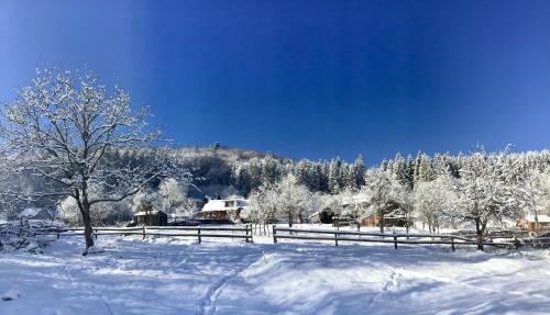 Veres en invierno