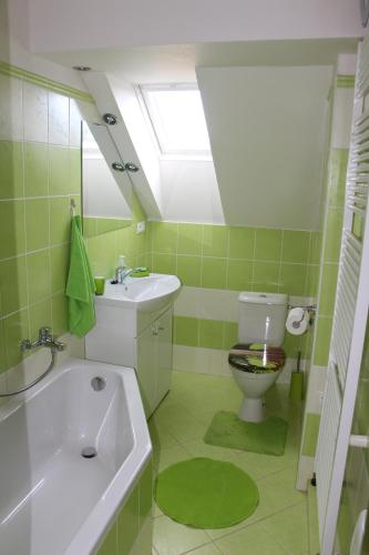 bagno verde con lavandino e servizi igienici di Vila Emilie - Hradební 44, Nové Hrady a Nové Hrady