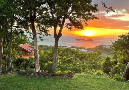 a sunset over the ocean from a hill with trees at AYOUNAKA in Bouillante