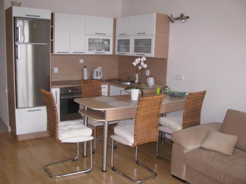 Kuchyň nebo kuchyňský kout v ubytování Apartmán Olomouc Ručilova