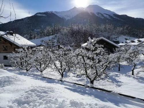 a snow covered yard with trees in front of a house at Spisshof in Grins