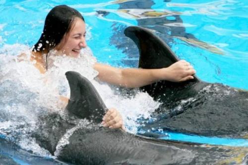 a woman in the water with two dolphins at El más completo, a menos de 5 minutos de la playa, free wifi fuera del alojamiento in San Felipe de Puerto Plata