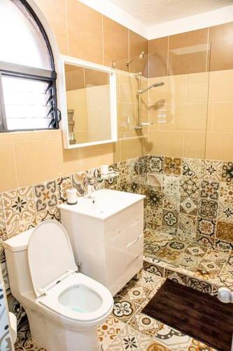 a bathroom with a toilet and a sink and a mirror at El más completo, a menos de 5 minutos de la playa, free wifi fuera del alojamiento in San Felipe de Puerto Plata