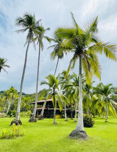 Finca Manglar-boat, horses, pool, staff, tours included
