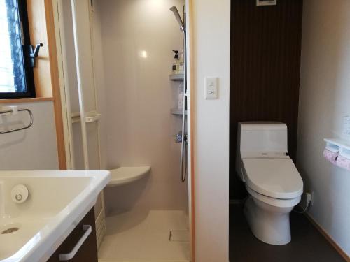 a bathroom with a white toilet and a sink at くまの蔵inn Warehouse in Shingu