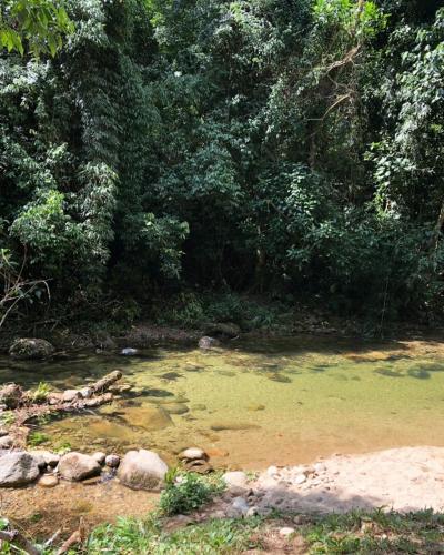 Sítio Bagatelle com cachoeira e piscina! – Photos 3