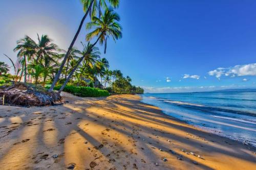 a sandy beach with palm trees and the ocean at Hale Mai Hopohopo in Kahana