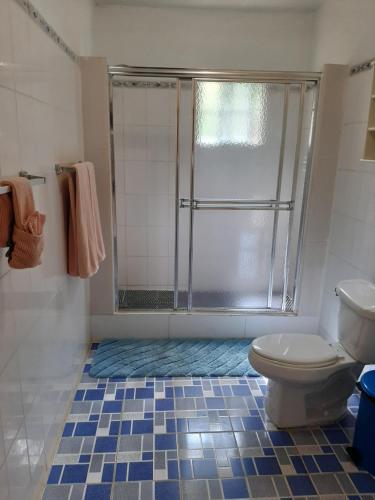 a bathroom with a shower and a toilet at Patmay Greenery. Fresh air, vacation get away. in Saint-James