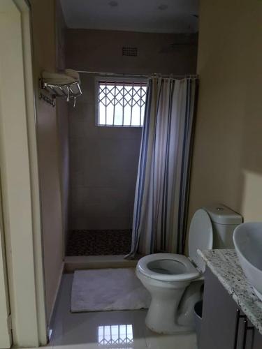 a bathroom with a toilet and a shower with a window at InstaHomes by Tru - Hillside Suite in Blantyre