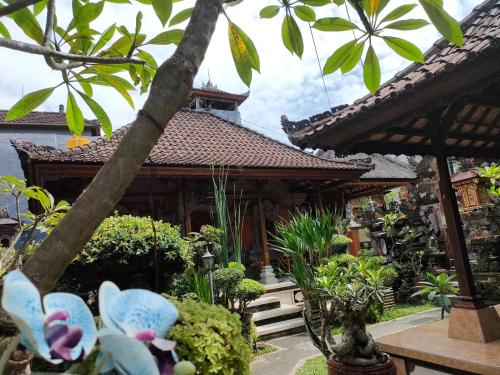 Dika Accommodation Ubud – Photos 2