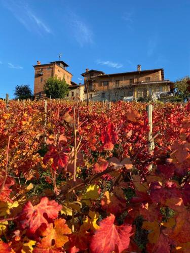 Il Palazzetto – Photos 3