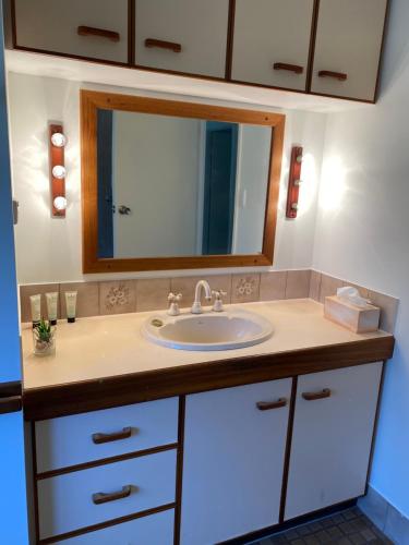 a bathroom with a sink and a mirror at Coastal Soul STA - MTA in Tin Can Bay