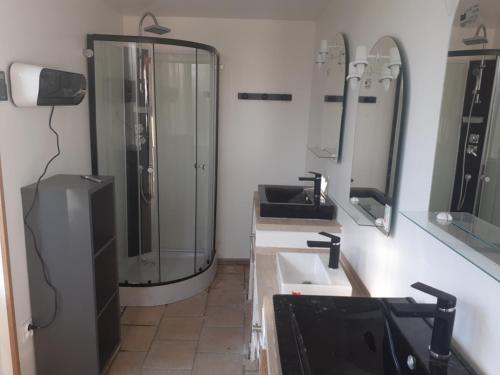 W łazience znajduje się prysznic, umywalka i lustro. w obiekcie La ferme d'Odette Gîte et salle de reception w mieście Poucharramet