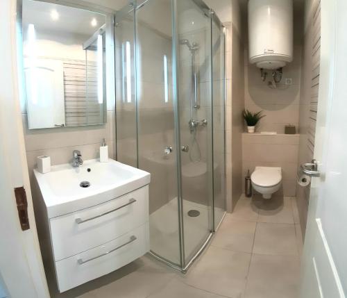 a bathroom with a shower and a sink and a toilet at Cozy apartament in the heart of Santa Cruz in Santa Cruz de Tenerife