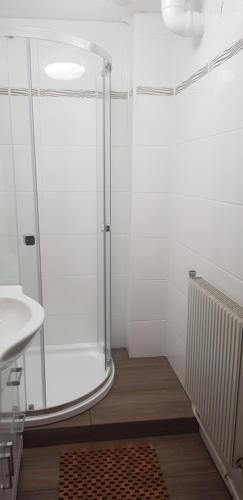 een douchecabine in een badkamer met een wastafel bij Haus Daniel Mariazell in Mariazell