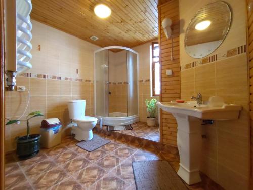 a bathroom with a toilet and a shower and a sink at Guesthouse U dida Viktora in Yaremche