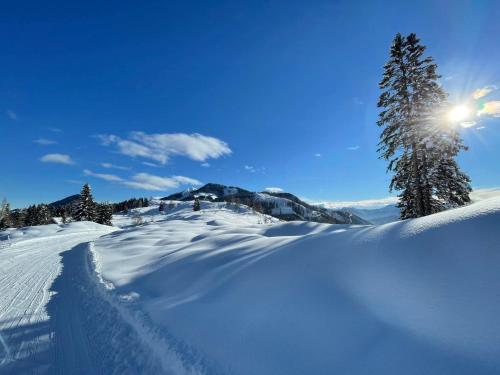 a snow covered slope with a tree and the sun at Ferienwohnungen im Haus Sonnleiten am Weissensee in Techendorf