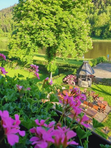 Paesaggio naturale nelle vicinanze dell'affittacamere