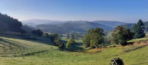 a green field with trees and mountains in the background at La Mazille , cossy vakantiestudio met zwembad in zuid-Bourgogne in Anglure-sous-Dun