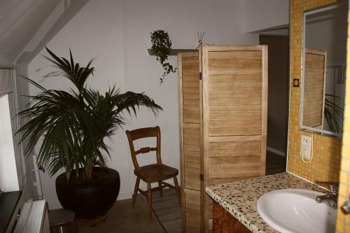 uma casa de banho com uma planta, uma cadeira e um lavatório. em B&B De Veldwachter em Ravels
