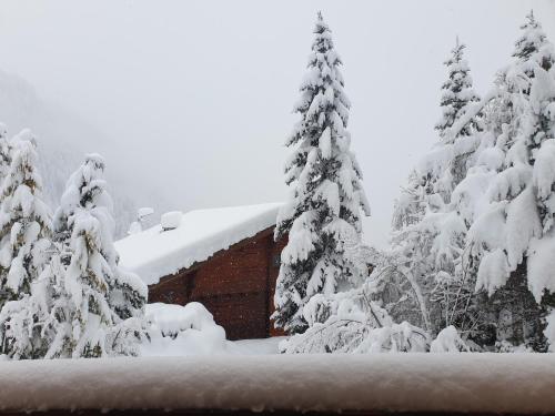 a house covered in snow next to some trees at Chalet le Petit Ramoneur in Châtel