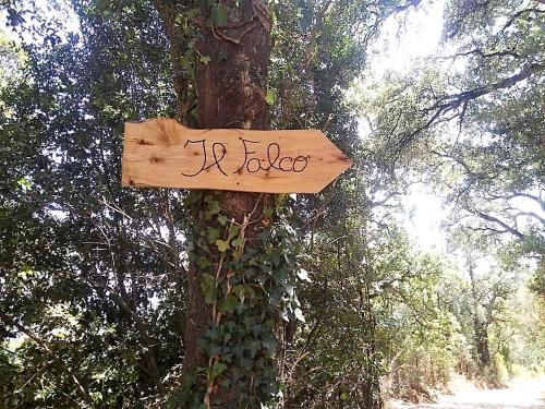 a wooden sign on a tree in a forest at Il Falco - Rustico-Villa mit privatem Pool in Alleinlage in Caldana