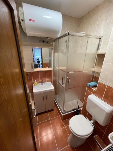 uma casa de banho com um WC, um chuveiro e um lavatório. em Levi's wellness apartman em Siófok