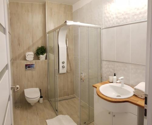 A bathroom at Apartamenty Gdańsk Angielska Grobla