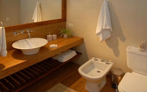 a bathroom with a sink and a toilet at Bariloche Down Town Apartment in San Carlos de Bariloche