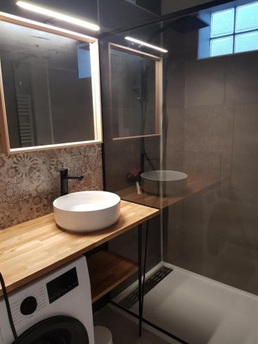 a bathroom with a sink and a washing machine at Appartement à 5 minutes à pied du centre équestre du Sichon in Vichy