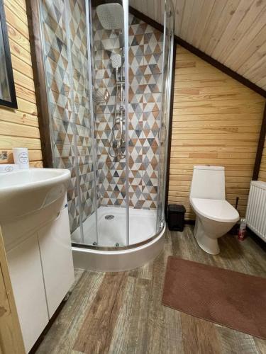 a bathroom with a shower and a toilet at Happy House in Slavske