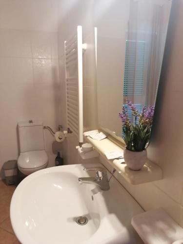 a bathroom with a sink and a toilet and a mirror at Le Palme Holidays in Palmadula