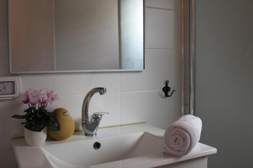 a bathroom sink with a mirror and flowers on it at בקתות שחר in Yonatan