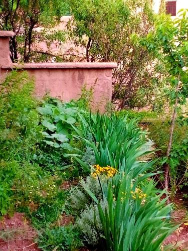 a garden with green plants and flowers next to a wall at Toubkal Ecolodge in Imlil