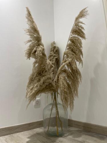 a glass vase with some dried plants in it at Les Gouttes d'Or in Pierry