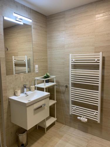 a bathroom with a sink and a mirror at Apartmán s vyhlídkou in Horní Maršov