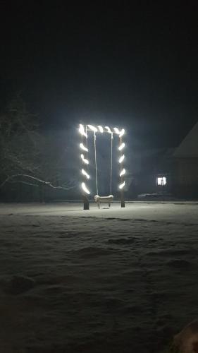 a bench lit up at night with lights at Готель Людмила in Synevyr