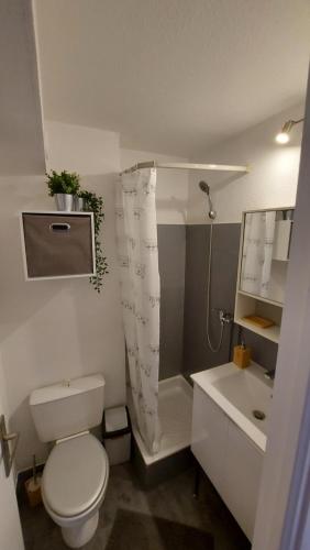 une salle de bain avec toilettes, douche et lavabo dans l'établissement studio quartier plages vue marina, à Sète