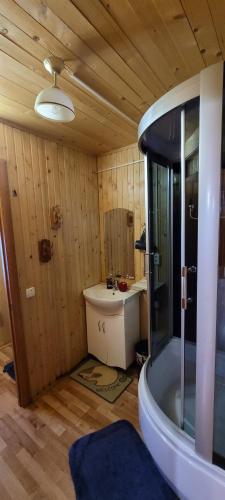 Koupelna v ubytování Kotiedzh u Mariny