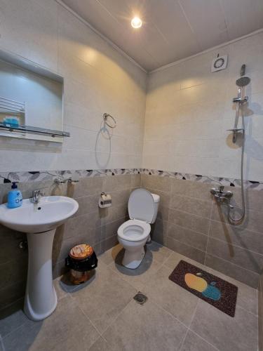 a bathroom with a toilet and a sink and a shower at Shorena & Nino in Stepantsminda
