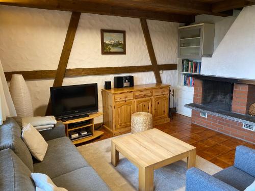 a living room with a couch and a tv and a fireplace at Chalet - Haus Ahorn Ost in Hasliberg
