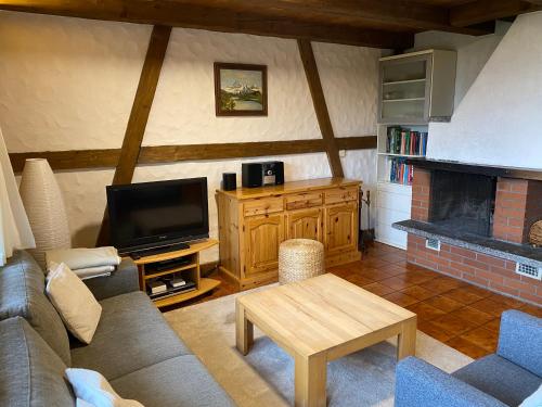 TV a/nebo společenská místnost v ubytování Chalet - Haus Ahorn Ost