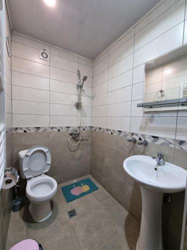 een badkamer met een toilet en een wastafel bij Shorena & Nino in Kazbegi