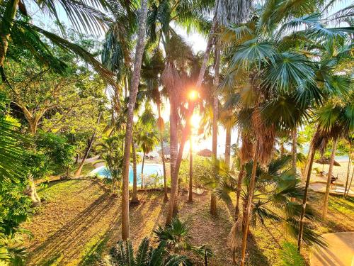 a view of the sun shining through palm trees at Mbweni Ruins & Gardens Previously Jungle Paradise in Zanzibar City