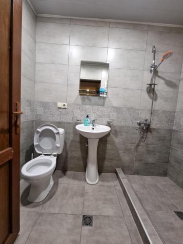 a bathroom with a toilet and a sink and a shower at Shorena & Nino in Stepantsminda