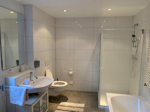 a bathroom with a sink and a toilet and a shower at Fe wo Viktoria in Lahr