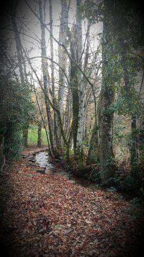 a path in a forest with trees and leaves at La Maison Mescladis in Manhac