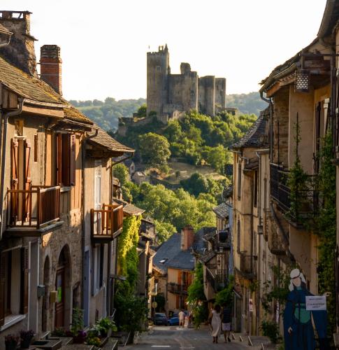 a view of a village with a castle in the distance at La Maison Mescladis in Manhac